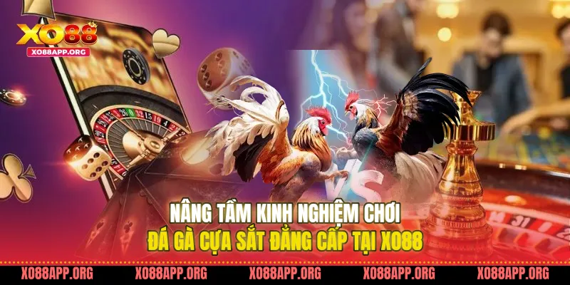 Nâng tầm kinh nghiệm chơi đá gà cựa sắt đẳng cấp tại Xo88