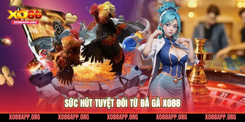 Sức Hút Tuyệt Đối Từ Đá Gà Xo88