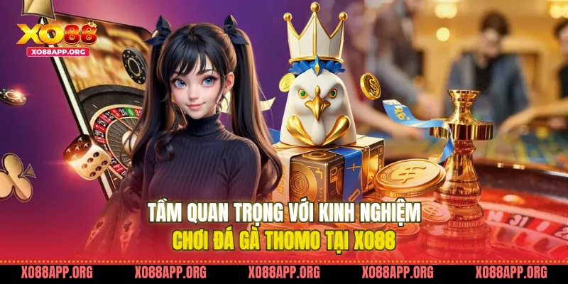 Tầm Quan Trọng Với Kinh Nghiệm Chơi Đá Gà Thomo Tại Xo88