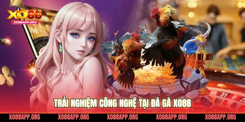 Trải Nghiệm Công Nghệ Tại Đá Gà Xo88